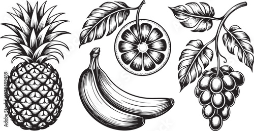 Assortment of tropical and common fruits including a whole pineapple, banana bunch, citrus slice, and grape cluster rendered in detailed black and white engraving style.