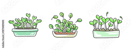Cute hand-drawn set of three microgreens growing in containers.