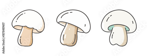 Three white mushrooms, hand-drawn vector illustration, isolated on white