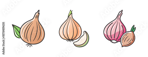 Three cartoon style shallots and garlic bulbs with sliced pieces on white background