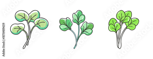 Fresh green watercress sprigs, healthy leafy vegetable for salads and cooking