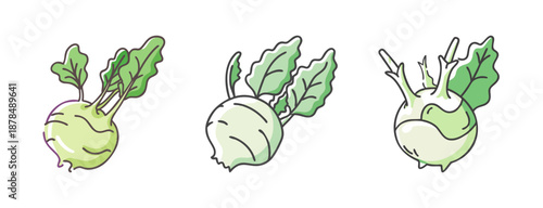 Three kohlrabi vegetables with green leaves, isolated on white background.