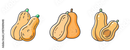 Three butternut squash vegetables, one halved, showing seeds, isolated on white.