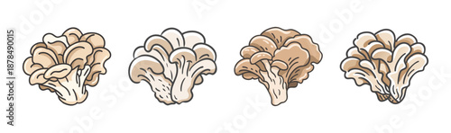Four maitake mushrooms in a cluster, hand-drawn style, isolated on white