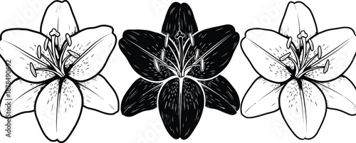 St david's day flowers leek symbolism on wales national day