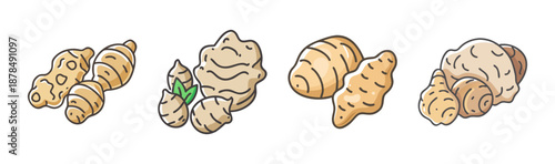 Assortment of fresh Jerusalem artichokes, healthy root vegetables for cooking