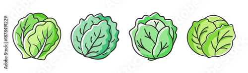 Collection of four green cabbage heads with watercolor effect, isolated on white.