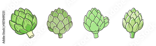 Four hand-drawn green artichokes isolated on a white background, vector illustration