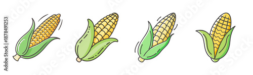 Fresh corn on the cob with green husks, farm harvest illustration