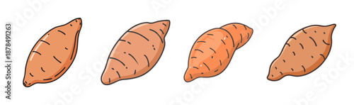 Four raw sweet potatoes with textured skin on a white background