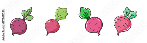 Four whole beetroots with green leaves, hand-drawn style, vibrant colors.