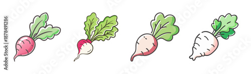Four hand-drawn radishes, red and white, with green leaves, isolated on white.