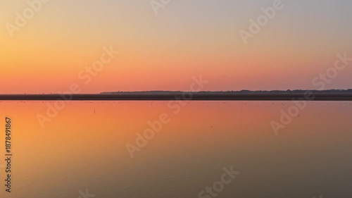 Geese and migratory birds on the lake at sunset