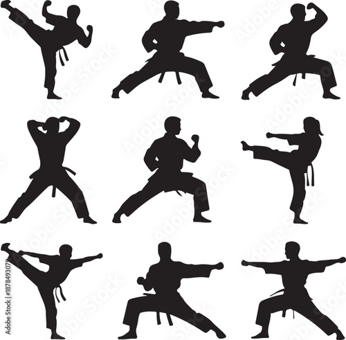 Silhouettes of people practicing various martial arts poses