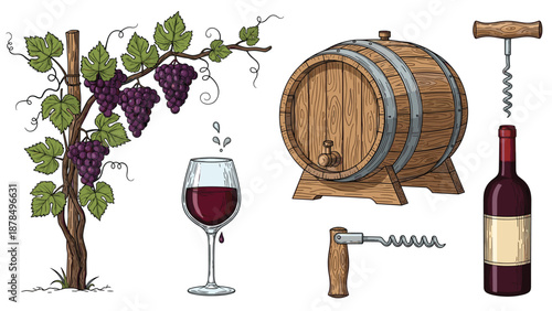Winemaking elements set featuring a fresh grapevine with purple grapes, wooden barrel, glass of red wine, and various corkscrews.