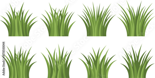 Green grass tuft and ornamental plant set vector illustration for landscape design nature backgrounds and garden elements