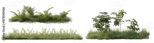 Картината върху платно Collection of Green Garden Vegetation featuring Fern Bushes and Meadow Grass Clu