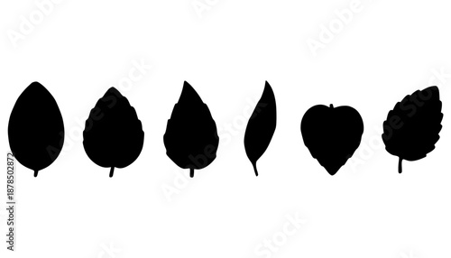 Fresh Basil Leaf Silhouette