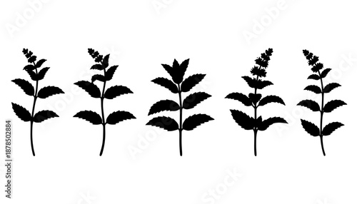 Peppermint Tea Leaf Silhouette