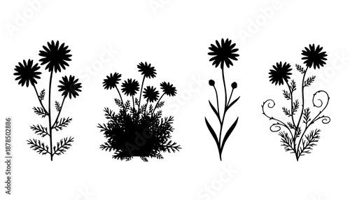 Chamomile Tea Herb Silhouette