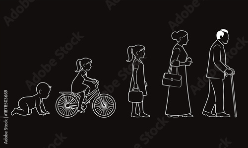 Human life stages silhouette from baby to elderly showing growth aging cycle family generations timeline illustration concept vector design infographic