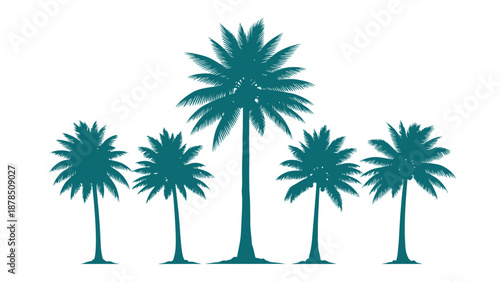 A group of five palm trees are silhouetted against a white background.