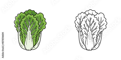 シンプルな白菜のアイコンイラスト