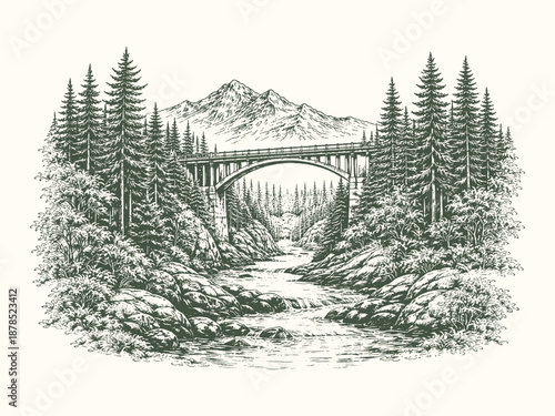 Stone bridge crossing forest river surrounded by tall pine trees, peaceful hand drawn vintage woodland nature vector illustration