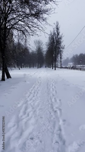 A snow-covered sidewalk among trees and a cityscape during a snowfall