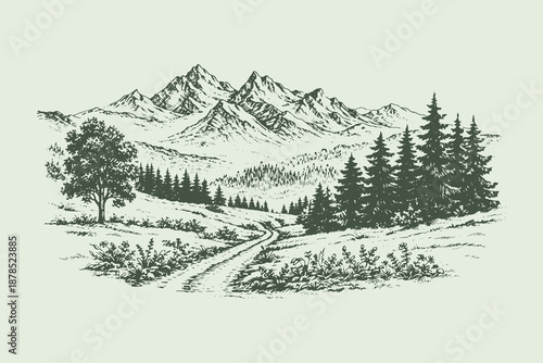 Peaceful mountain valley with winding path and pine trees, minimalist hand drawn countryside nature vector illustration