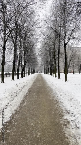 A snow-covered sidewalk among trees and a cityscape during a snowfall