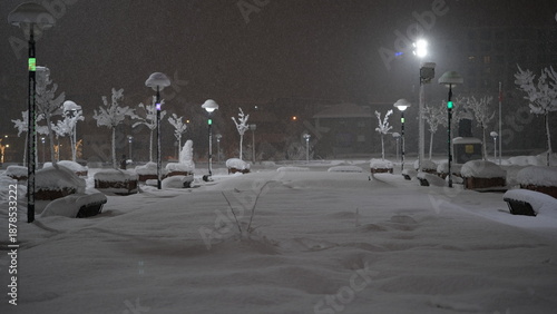 snowy cityscape, night snowfall, snowy parks and roads.