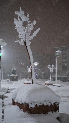 snowy cityscape, night snowfall, snowy parks and roads.