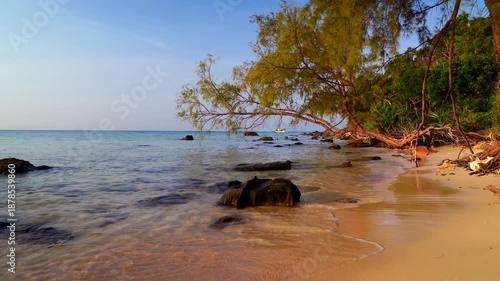 Waves at stone beach on sunset. Sunrise sea on shoreline. Beach pebbles. Trees on sea beach shore, splashing waves. Wild Shore landscape. Ocean sunset shoreline scenic. Wild beach in jungle of Vietnam