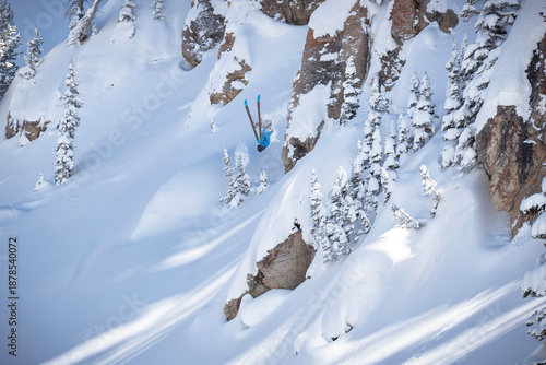 Fresh Powder and Gainer Backflips