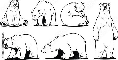 Illustrations of polar bears in various poses and movements