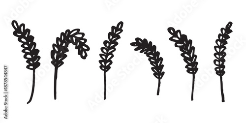 Set of hand drawn cereal wheat oat rye barley rice ears spikelet clipart Organic wheat bread agriculture farming harvest healthy food Single element for design print packaging label decor