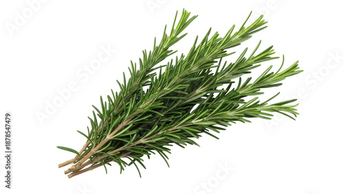 Canvastavla Fresh rosemary sprigs isolated PNG, aromatic herb for cooking and seasoning on t