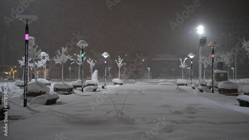 snowy cityscape, night snowfall, snowy parks and roads.