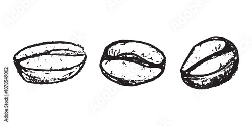 Set of hand drawn fresh roasted coffee bean Arabica robusta seed doodle Single element for design print packaging label decor