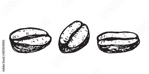 Set of hand drawn fresh roasted coffee bean Arabica robusta seed doodle Single element for design print packaging label decor