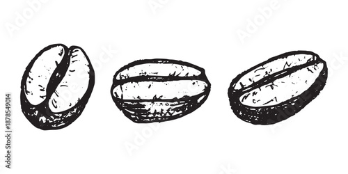 Set of hand drawn fresh roasted coffee bean Arabica robusta seed doodle Single element for design print packaging label decor