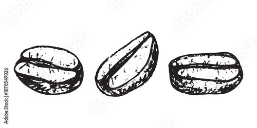 Set of hand drawn fresh roasted coffee bean Arabica robusta seed doodle Single element for design print packaging label decor