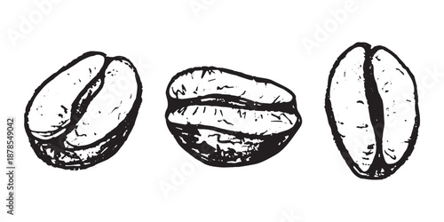 Set of hand drawn fresh roasted coffee bean Arabica robusta seed doodle Single element for design print packaging label decor