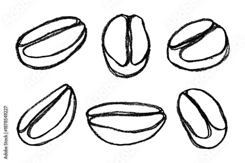 Set of hand drawn fresh roasted coffee bean Arabica robusta seed doodle Single element for design print packaging label decor