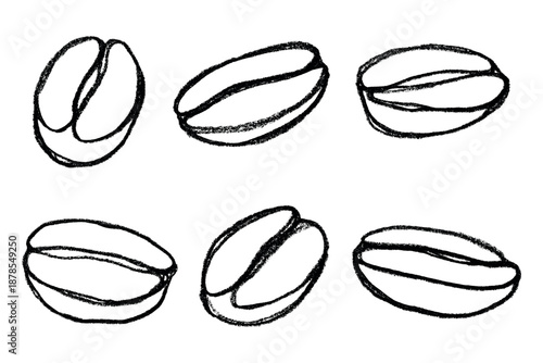 Set of hand drawn fresh roasted coffee bean Arabica robusta seed doodle Single element for design print packaging label decor