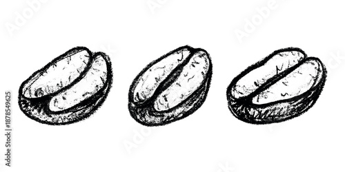 Set of hand drawn fresh roasted coffee bean Arabica robusta seed doodle Single element for design print packaging label decor