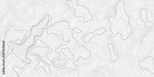 Nature Inspired Topography Contour Line Seamless Texture
Organic Landscape Map Design with Detailed Elevation Line Patterns