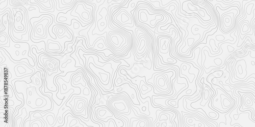 Seamless Black and White Topographic Map Pattern with Flowing Organic Lines
Highly Detailed Elevation Contour Line Artwork in Vintage Outdoor Cartography Style