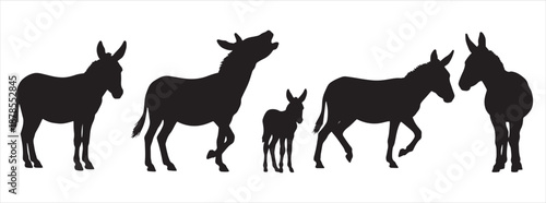 Set of Donkey Silhouettes and Farm Animal Icons; Domestic Burros in Various Poses Including Standing, Walking, and Braying Isolated on White Background for Rural and Agriculture Design
